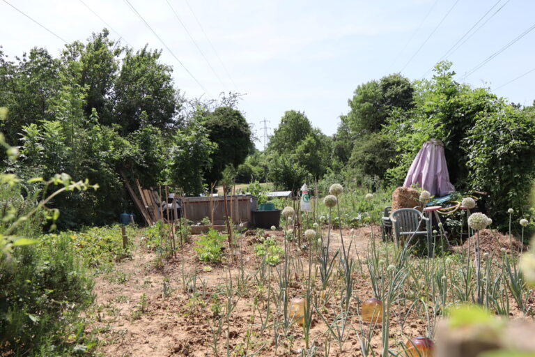 Pourquoi les jardins familiaux sont un patrimoine à préserver ?